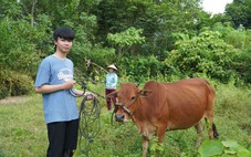Người mẹ đơn thân mỗi năm bán 1 con bò cho con vào đại học