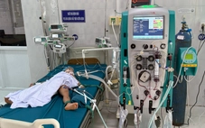 3 trẻ tại Gia Lai bị ong vò vẽ đốt, 1 cháu tử vong