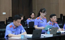 Viện kiểm sát nói chủ tịch Tập đoàn Thuận An đã 'giẫm đạp lên các quy định pháp luật'