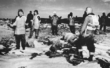 Greenland - đảo quốc băng giá khổng lổ - Kỳ 2: Tiền đồn hiểm yếu