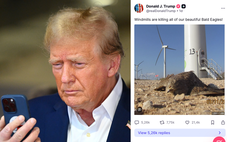 Có thật các turbine điện gió giết chết tất cả đại bàng đầu trọc biểu tượng của Mỹ?