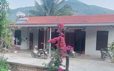 Chúng tôi chắp lại mái nhà