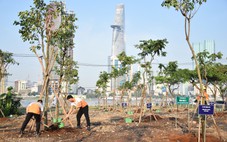Trồng hàng trăm cây xanh ở công viên bờ sông phía Thủ Thiêm mừng Ngày Cây xanh Việt Nam