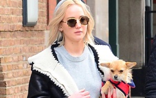 Jennifer Lawrence bị chỉ trích vì bỏ rơi chó cưng và phát ngôn gây sốc