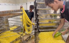 Công an TP.HCM khởi tố 2 vợ chồng sản xuất hàng tấn mì sợi trộn hàn the