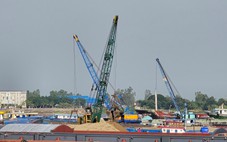 Hàng trăm sà lan 'phủ kín' gần 2km trên sông Tiền chờ cát Campuchia