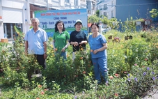 Biến nơi đổ rác bừa bãi thành mảng xanh tại khu dân cư ở TP.HCM