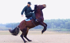 Đầu năm ngựa, 'xông đất' Đoàn Cảnh sát cơ động Kỵ binh