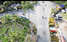 Dời chợ hoa Xuân vào lại trung tâm Hội An, chính quyền miễn phí để dân vào buôn bán