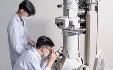 ĐH Quốc gia TP.HCM: Bài báo khoa học tăng, doanh thu chuyển giao công nghệ giảm