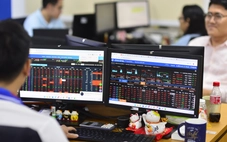 Chưa đến 5% cổ phiếu lập kỷ lục, phần còn lại của thị trường chứng khoán sẽ thế nào?