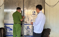 Tạm giữ phó trưởng trạm giám sát tàu cá và kiểm dịch lưu động vì nhận hối lộ của Đồ hộp Hạ Long