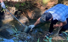 Hai nhà máy chế biến tinh bột sắn xả thải trực tiếp ra sông Pô Kô