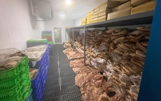 TP.HCM: Phát hiện 50 tấn thịt nhím, nai, đà điểu… làm giả từ thịt heo