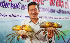 Cà Mau dự chi 9 tỉ đồng nghiên cứu bảo tồn và phát triển nguồn gene cua biển