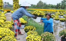 Thời tiết hôm nay 17-1: Cả nước tăng nhiệt trước đợt rét mới