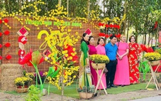 Tết này, về Bình Lợi dạo đường hoa mai vàng dài 3km