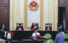 Tổ chức buôn bán ma túy tại TP.HCM: Hai bị cáo lĩnh án chung thân