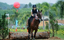 Đã đến lúc Việt Nam thành lập Liên đoàn Ngựa
