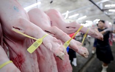 Chỉ cần nấu chín kỹ là an toàn: Đúng nhưng chưa đủ