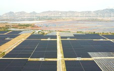 Khánh Hòa kêu gọi đầu tư 231 dự án, kỳ vọng vào du lịch, bất động sản và năng lượng tái tạo