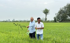 'Tỉ phú hai lúa' miền Tây gửi gắm kỳ vọng vào Đại hội Đảng XIV