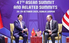 2026 là cơ hội để Việt Nam tạo khác biệt