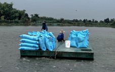 Giá cá tra 'lập đỉnh' từ con giống đến cá thịt