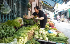 Cục thuế giải đáp loạt vướng mắc của hộ kinh doanh có doanh thu dưới 500 triệu đồng/năm