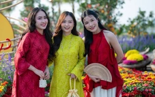 Tết con ngựa, khách Việt đi đâu chơi?