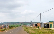 Xuân đến sớm trên vùng tái định cư Lơ Pang