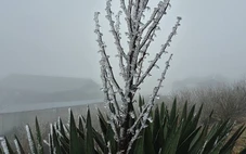 Cận cảnh băng giá ở đỉnh Mẫu Sơn khi nhiệt độ còn 0,1 độ C