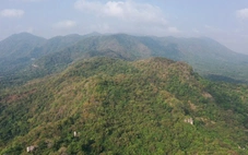 Ứng dụng khoa học - công nghệ  vào quản lý, bảo vệ rừng