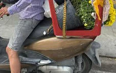 Người miền Tây giúp 'giải cứu' cúc mâm xôi Sa Đéc, chợ Lách nở sớm