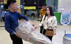 Bay Tết: Mai, đào 'lên máy bay', giá vận chuyển từ 450.000 đồng/bó