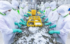 Tập đoàn Phú Cường: Từ cơ sở chế biến thủy sản đến tập đoàn đa ngành