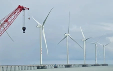 Giao hàng chục ngàn héc ta mặt biển cho hai tập đoàn EVN, PVN khảo sát điện gió