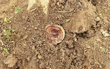 Phát hiện bom chùm ở trường tiểu học