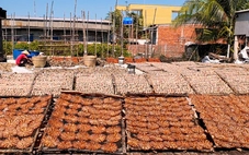 Nghề khô xứ biển vào mùa Tết