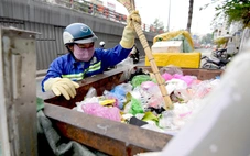 Đón xuân trong lành, thầm biết ơn những 'kiến thợ' thu gom rác