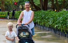 Thời tiết hôm nay 26-1: Bắc Bộ mưa phùn, Nam Bộ nắng ráo