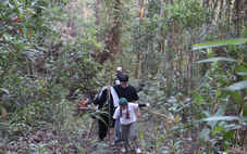 Khi mầm xanh viết tiếp bản tình ca của đất