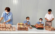 Giá trứng gà giảm sâu, người nuôi lỗ nặng nhưng người mua vẫn phải trả giá cao