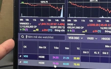 Vì sao cổ phiếu Vinaconex và Hóa chất Đức Giang cùng nằm sàn phiên 26-1?