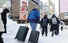 Tuyết lớn làm tê liệt sân bay ở Nhật Bản, 7.000 hành khách mắc kẹt