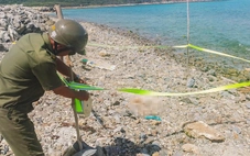 Phát hiện đoạn chân người trôi dạt vào bãi biển ở Khánh Hòa