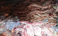 Bắt thêm một người trong vụ thu mua, trữ gần 40 tấn heo bệnh để bán ra thị trường