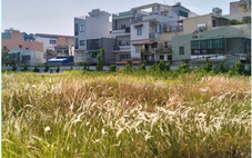 148 khu đất ở TP.HCM có thể làm nhà ở xã hội, tái định cư