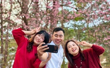 Mai anh đào Đà Lạt đã nở rộ, du khách về phố núi 'sống chậm'