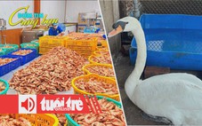 Điểm tin 18h: Đặc sản OCOP lên ngôi dịp Tết; Trộm thiên nga của Thảo cầm viên